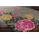Tosha Wool Floral Indoor Rug