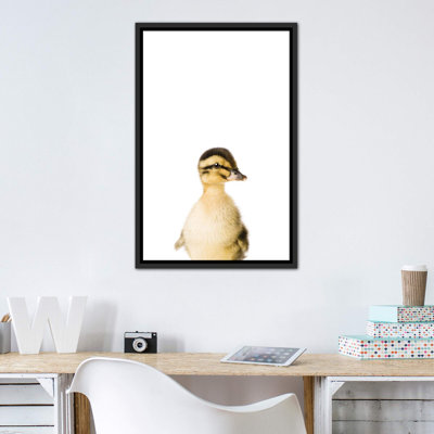«Baby Duckling» par Sissi & Seb - reproduction de photo