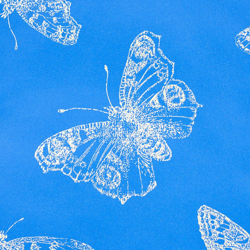 Papier peint Burnell Butterfly, Bleu