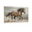Animals Running Horse In Motion Dust Trail-677034914