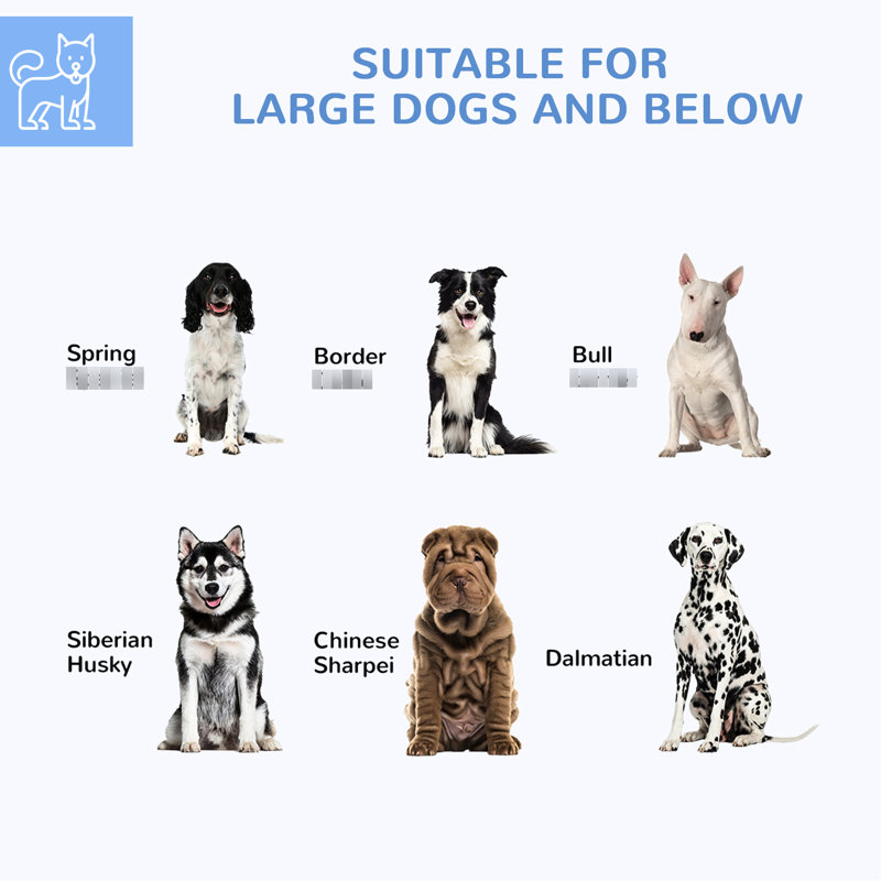 Chenil pour chien, argent, L 9,2 pi x l 8 pi, H 5,6 po Extérieur pour chiens de taille moyenne et grande. Barrière verrouillable sécurisée. Espace de jeu spacieux. Confortable. . Installation rapide 9,2 pi 8 pi 5,6 pi, argent. Pour les races.