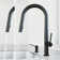 Greenwich 18 H 1-handle Pull-Down 2-Function Sprayer Kitchen Faucet and Soap Dispenser