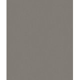 Serene Collection Fine Silk Metallic Hue Design 33' L x 21" W Wallpaper Roll