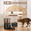 Automatic Feeder