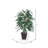 4' Artificial Mango Bush, Square Willow Basket.