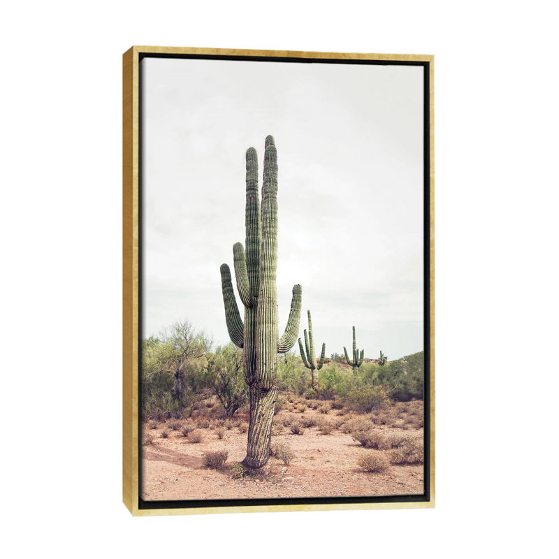 «Desert Cactus» par Sissi et Seb - impression d'art graphique, Pas de tapis, 40" H x 26" W x1.5" D, Gold Frame