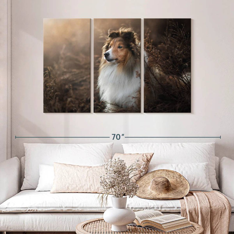 Bramelt, magnifique sheltie, H 32 po x l 50 po