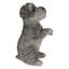 Schnauzer miniature assis
