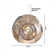 Gotcher 1-Light Chrome Single Pendant With A Stainless Steel ORB Shade