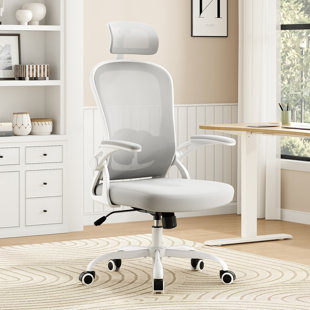 Montclaire Mesh Desk Chair With Adjustable Lumbar Support