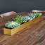 Fruit Trough-87081330