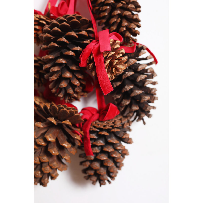 Preserved Pinecone Swag