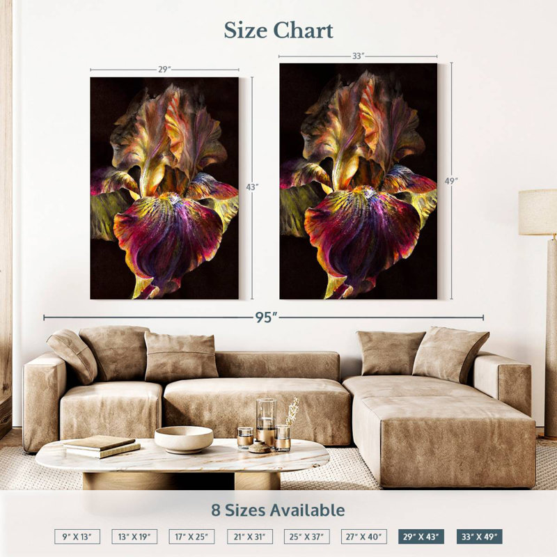 Harnek Iris, 51" H x 34" W