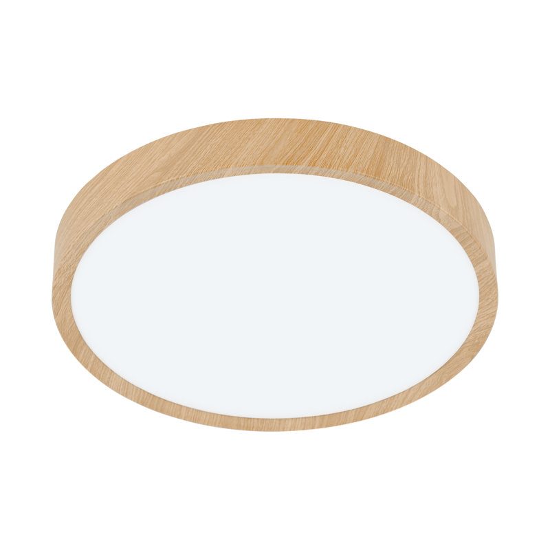 Maio Plastic LED Flush Mount