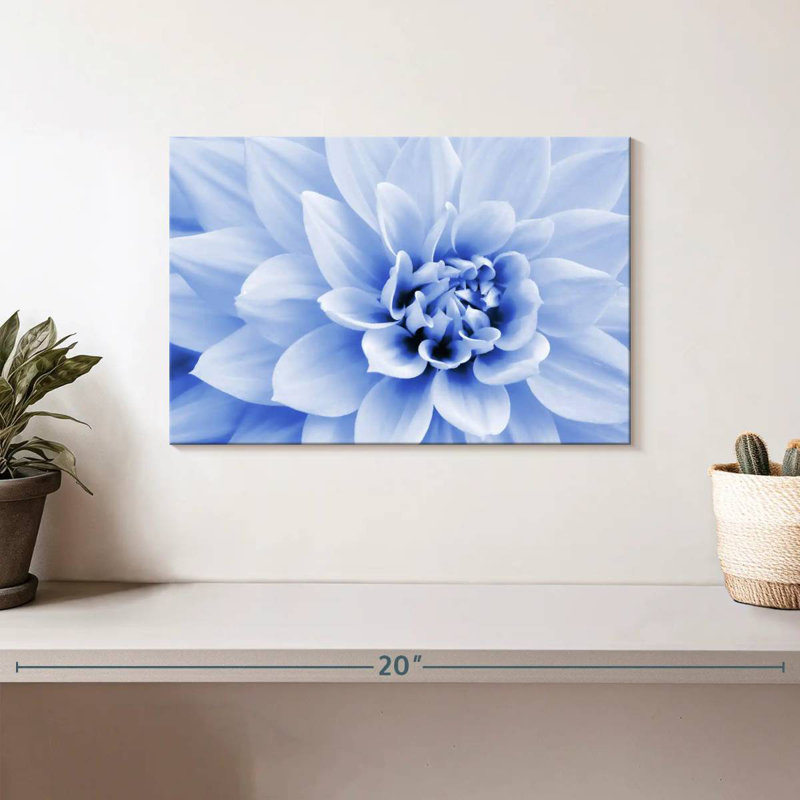Dahlia bleu pastel Harnek, H 8 po x l 12 po