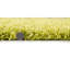 Alfheim Shag Area Rug-28255244