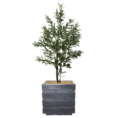 66 " H Faux Plant in Fiberstone Planter