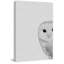 Owly Surprise - Drawing on Canvas-1205190401