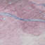 Tapis mauve intérieur / extérieur lavable à la machine Claudian ACN1532-109535784