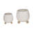 Ereka Stoneware and Ceramic Footed Round Planters with Triple Ball Base Design Set of 2-1852085794