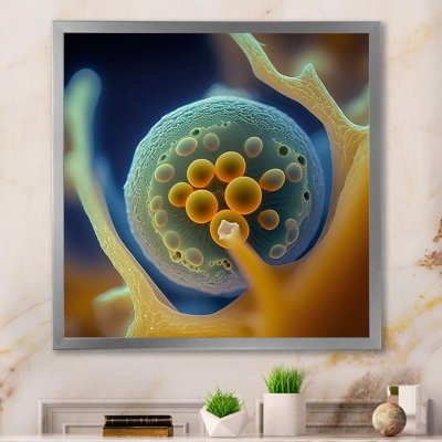 " Macro Photography Of Marine Cells "