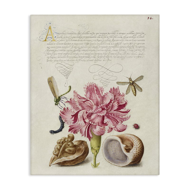 Art mural antique sur toile et escargots par June Erica Vess, H 30 po x l 24 po