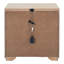 Ponce Solid Wood 2-Drawer Nightstand with USB A-C Ports