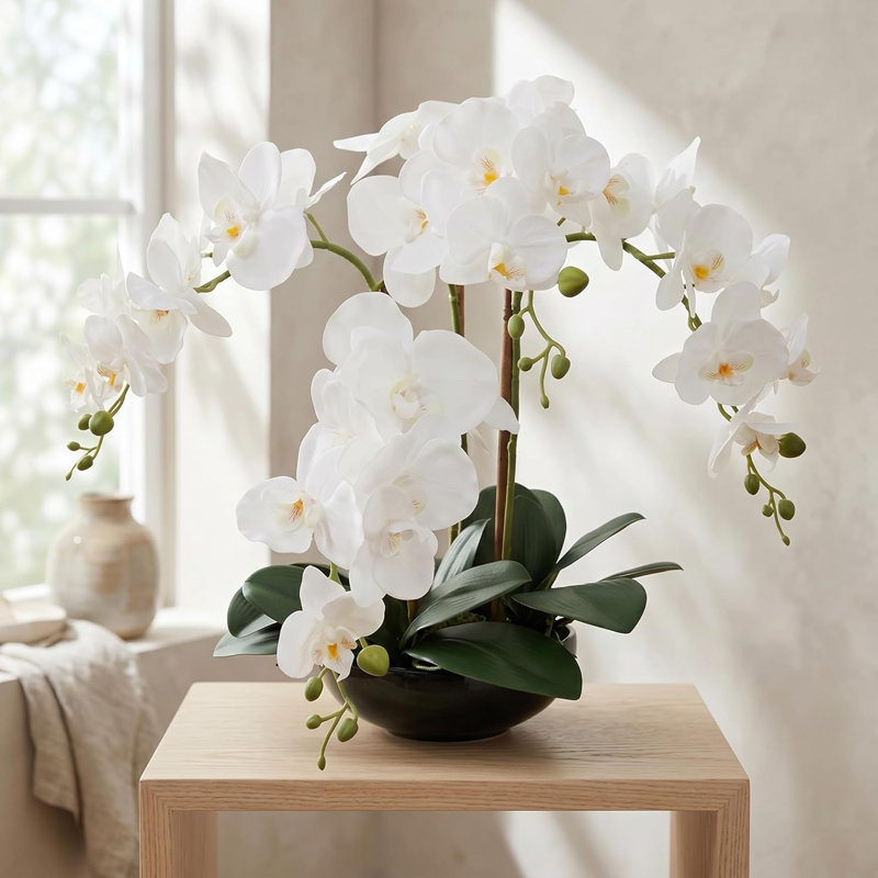 Orchidée blanche 20 po Phalaenopsis en pot rond noir