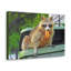 Wall Art on Canvas