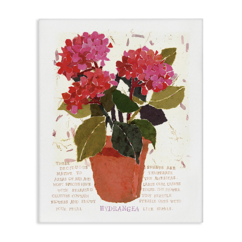 «Bold Red Hydrangea» par Nancy Overton, H 20 po x l 16 po