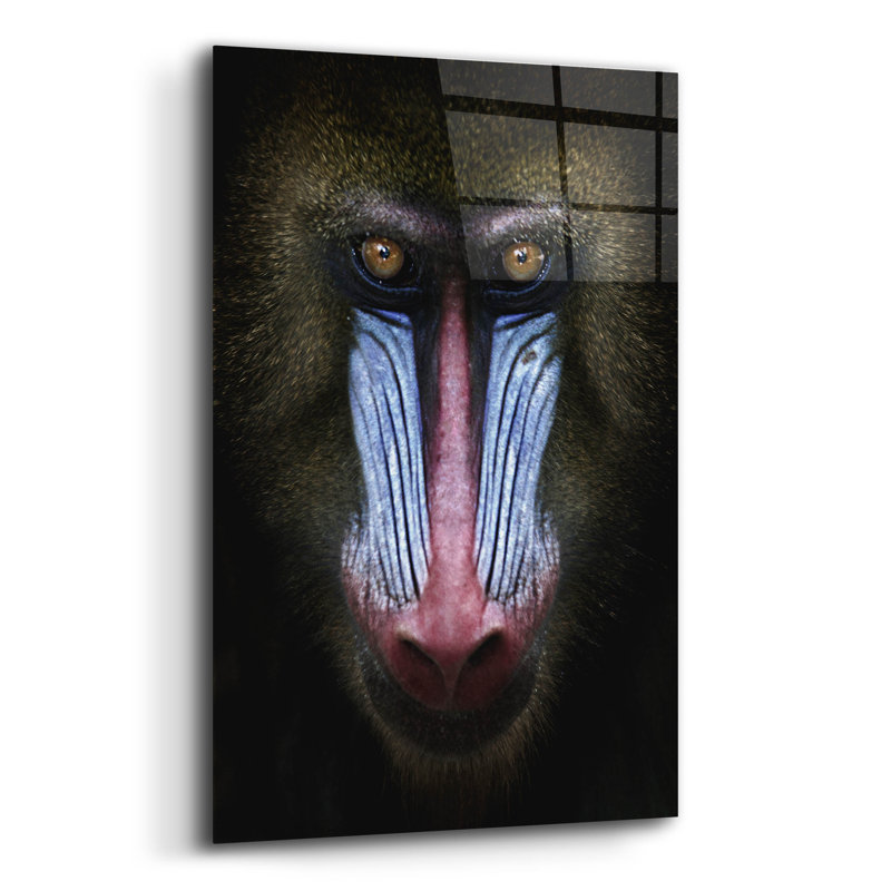 Mandrill 'par SD Smart, art mural en verre acrylique, H 24 po x l 16 po x P 0,2 po