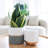 Chanko Ceramic Pot Planter-1027714657