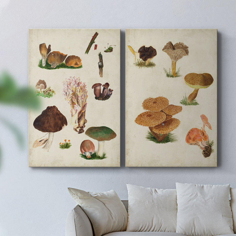 Toile tendue avec châssis Mushroom Species IX-Premium - Prêt à être accroché, H 12 po x l 16 po