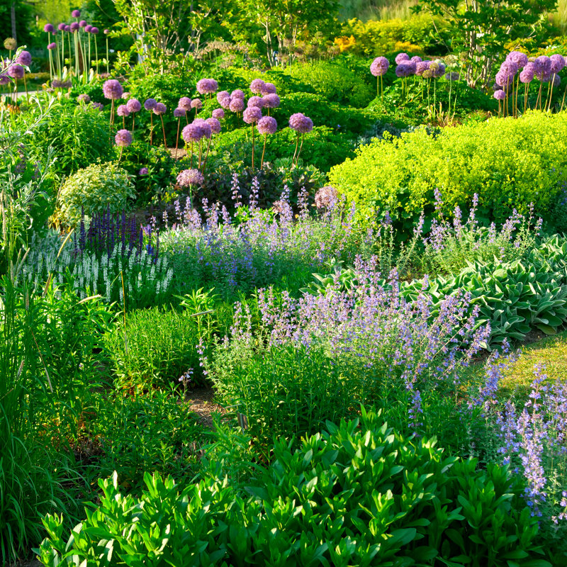 Early Summer Flower Garden - Wrapped Canvas Print, 122cm H x 122cm W x 3.8cm D