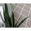 Tapis en jute / sisal tressé à la main Bigbee Southwestern-61870284