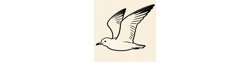 Logo shenzhenshihuanoushangmaoyouxiangongsi