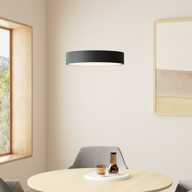 Fynn 1 - Light LED Unique/Statement Pendant, Black
