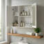 Mirrored Medicine Cabinet