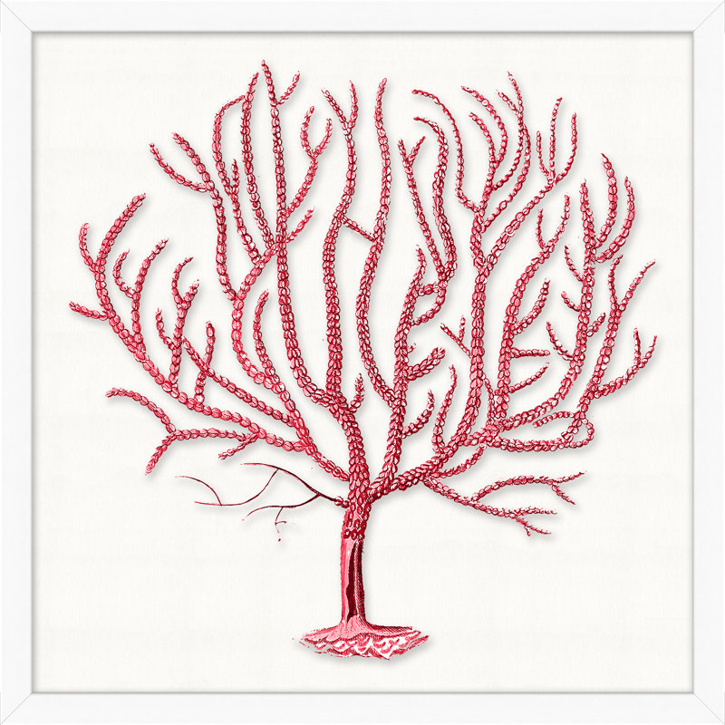 Red Branch Coral 5 Print by Lillian August