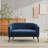 Upholstered 2-Seat Sofa-810944591