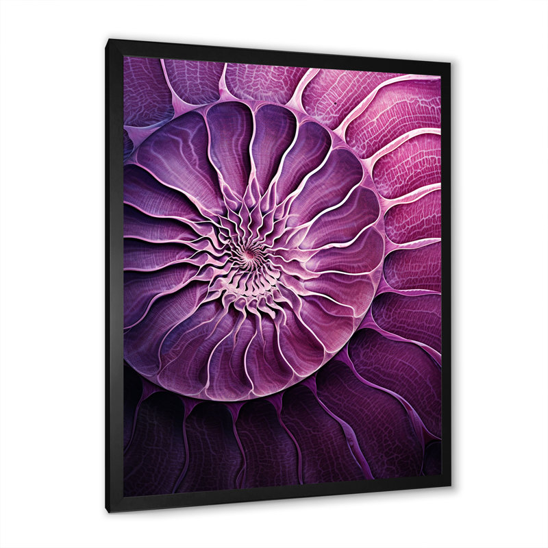 Nautilus prune coquillages I sur toile, H 32 po x l 16 po x P 1 po, Cadre simple noir