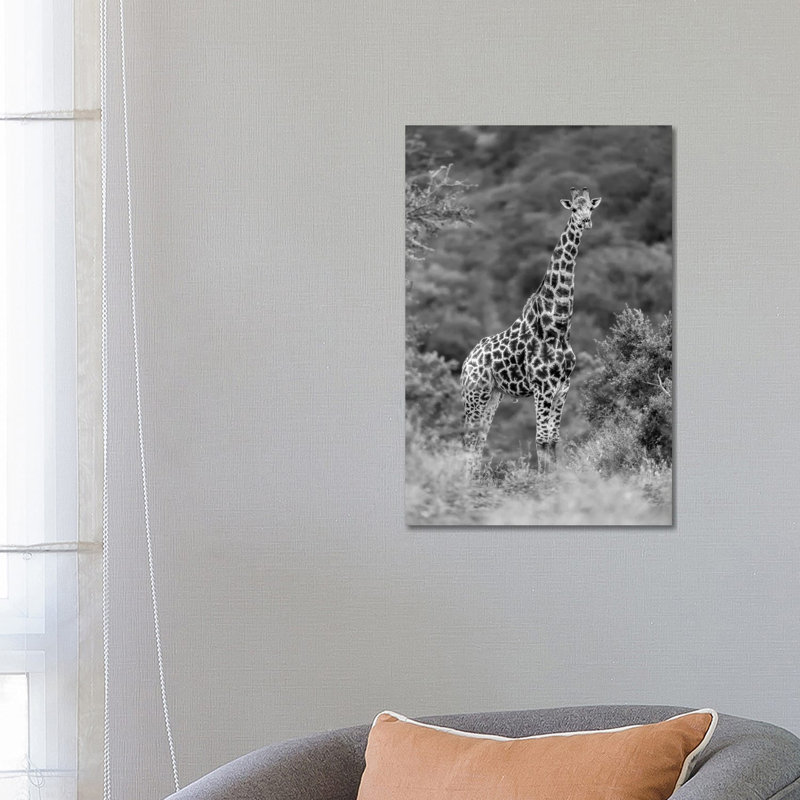 Stately Giraffe by Anders Jorulf - Wrapped Canvas Print, 66.04cm H x 45.72cm W x 1.91cm D
