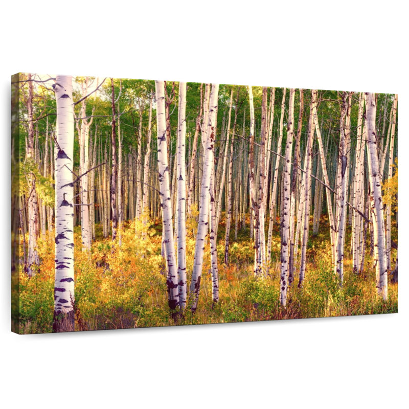 Alvord Aspen Grove en automne I, H 30 po x l 45 po