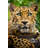 Amur Leopard by Ricardoreitmeyer - Wrapped Canvas Print-1762974251