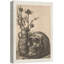 Moody crâne Moody gothique foncé crâne floral fleurs vase illustrations art moderne rustique-101791434-101791435