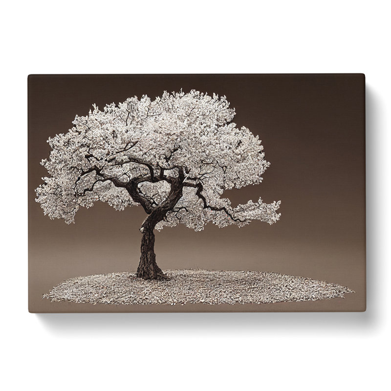 Splendid Tree - Wrapped Canvas, 40cm H x 60cm W x 3cm D