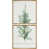 Natural Floater Framed is unavailable