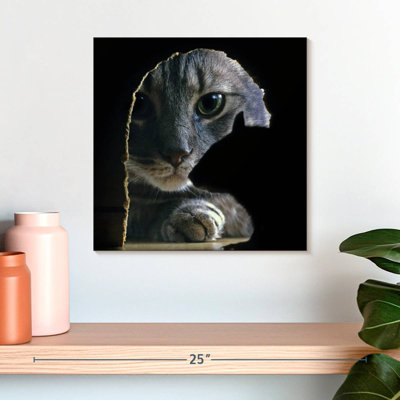 Brampt Cat Hunting Mouse
