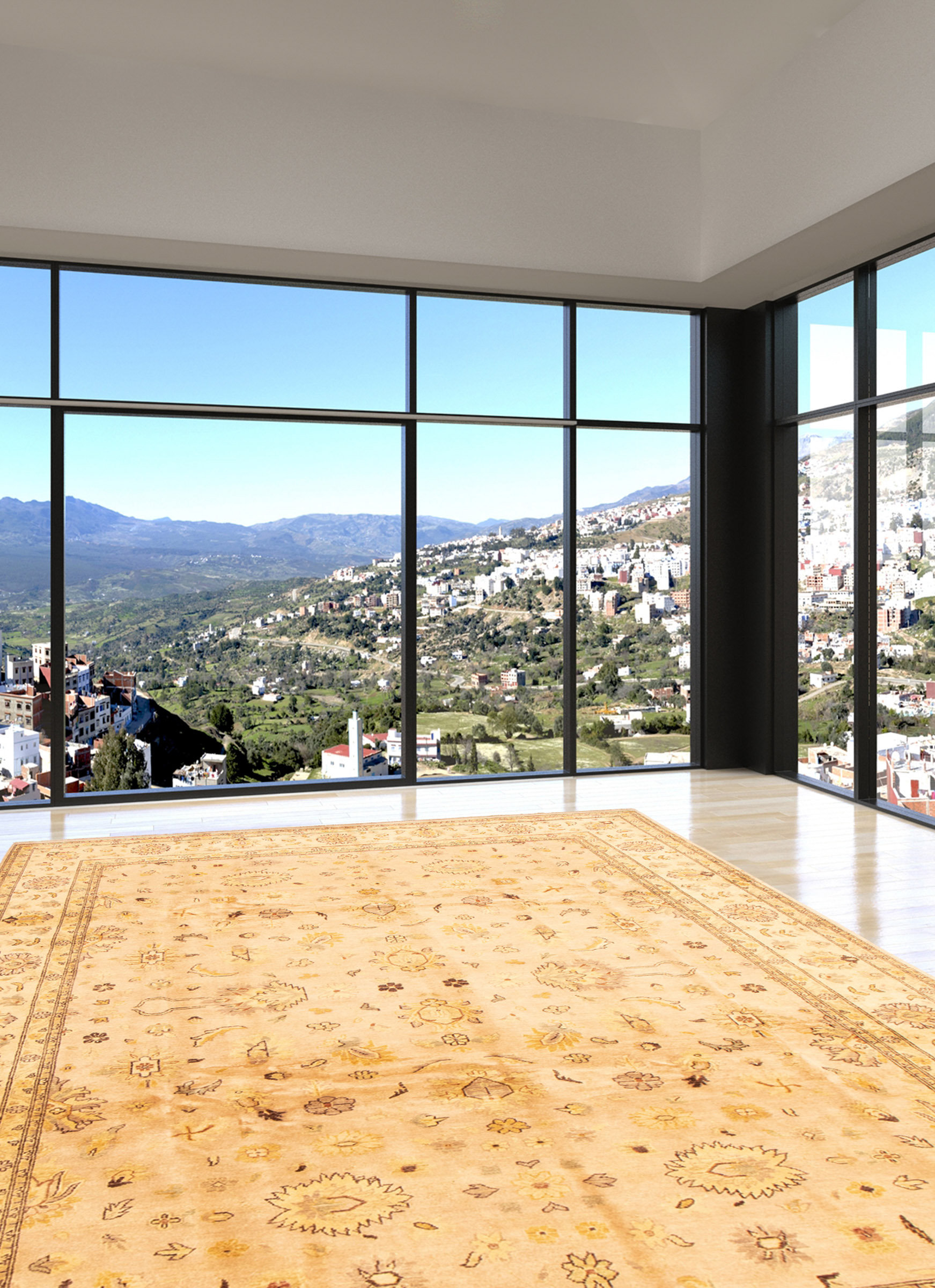 ECARPETGALLERY Peshawar Oushak Dark Brown/Gray/Ivory/Light Gold Rug 9 ...