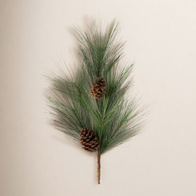 Pickens Pine Stems